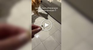 Фильтр украсил видео с предложением руки