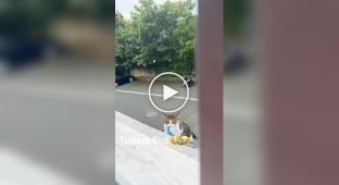 A cat started stealing items and bringing them home