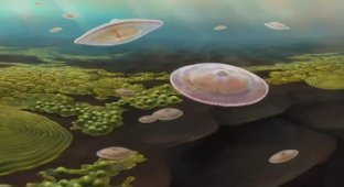 The first unsuccessful attempt at multicellular life on Earth (4 photos)