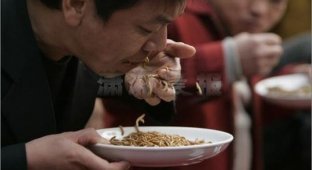  Поедание червей в Китае (13 Фото)