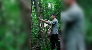 Ancient Chinese method of making ink