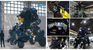 Японська компанія створює справжніх хутра-роботів для мільярдерів (3 фото + 2 відео)