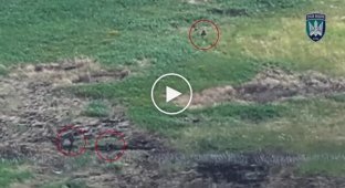 Обугленные тела оккупантов тлеют среди поля после атаки Птиц Мадяра
