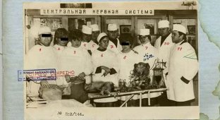 Soviet biorobot (8 photos)