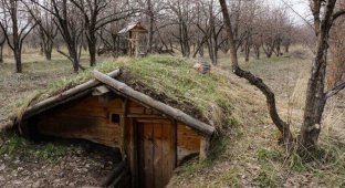 Как построить землянку своими руками (1 фото)