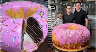 Кулінари спекли торт у вигляді пончика і потрапили до Книги рекордів Гіннеса (5 фото + 1 відео)