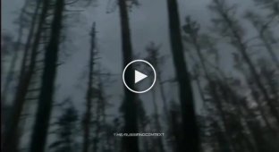 Оккупанты воюют в Кременном лесу на Луганщине