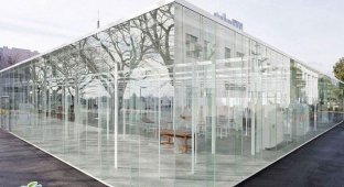 Японская школа, которая полностью сделана из стекла