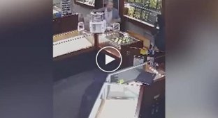В Австралии женщина громким криком спугнула грабителей в парандже (тише звук)