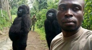 35 увлекательных снимков из Reddit-сообщества «Interesting As Fuck» (36 фото)