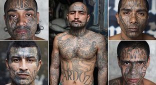 Портреты заключенных сальвадорской тюрьмы, в которую боятся войти охранники (12 фото)