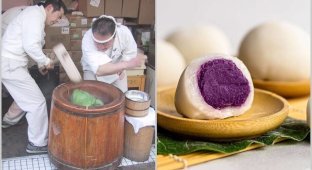 How the Japanese prepare mochi dessert (3 photos + 2 videos)