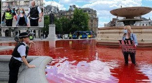 Фонтан на Трафальгарской площади окрасился кровью (20 фото + 1 видео)