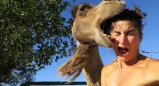 25 смешных доказательств того, что животные ненавидят женщин