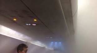 Густой пар в салоне самолета перепугал пассажиров (9 фото)