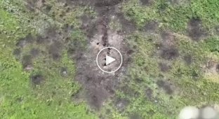 Украинский дрон сбрасывает гранату в окоп российскому военному на Восточном направлении