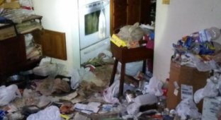 Чудесное преображение дома (20 фото)