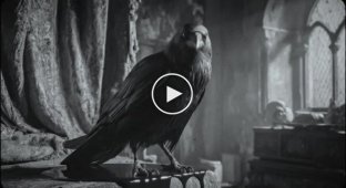 A mayonnaise commercial in a horror movie style