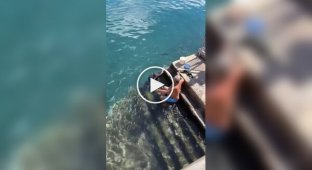 Мужчина подкармливает ската