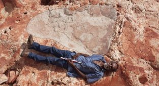 В Австралии обнаружили самый большой след динозавра (4 фото)