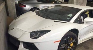 Lamborghini Aventador в виде двух половинок за 125 000 долларов (5 фото)