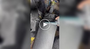 In India, they showed how designer jeans are made