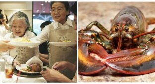 10 Facts That Break Our Common Notions About the World Around Us (11 photos)