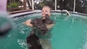 Девушка купается в бассейне в выдрами