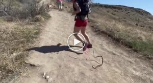 A prankster pranks his significant other with a toy snake