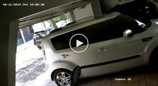 Попытка ограбления дома в Бразилии попала на видео