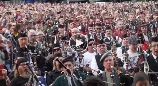 Исполнили хит ACDC: сотни музыкантов с волынками установили неожиданный мировой рекорд