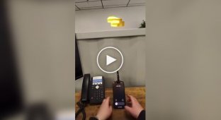 Office employee covered for his colleague