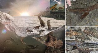 Ученые обнаружили кладбище Юрского периода (7 фото)