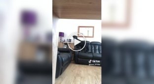 A Labrador grabbed a surveillance camera with its teeth and filmed a tour of the house