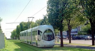 Зеленые трамвайные пути в Европе (16 фото)