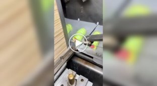 Легке катування перфекціоністів