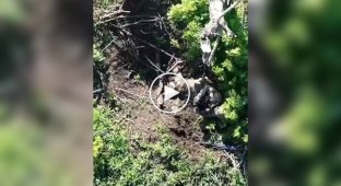 Украинские дроны сбрасывают гранаты и ВОГи на российских военных в Донецкой области