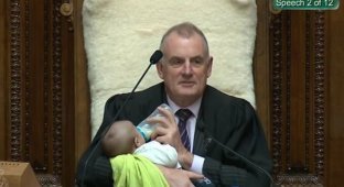 «Тише, ребенок кушает»: спикер парламента Новой Зеландии вел заседание с младенцем на руках (3 фото + 1 видео)