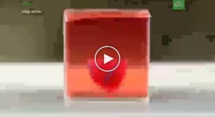 Израильские ученые напечатали на 3D-принтере сердце из человеческих клеток