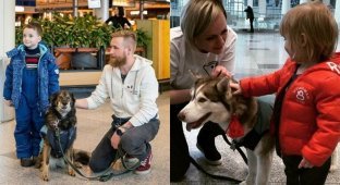 В Домодедово собаки помогли пассажирам снять предполетный стресс (14 фото)