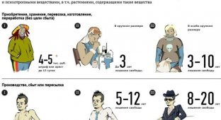 Ответственность за наркопреступления в России (4 картинки)