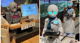 Japanese cafe where robot waiters are operated by bedridden people (4 photos + 1 video)