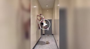 Принц Персии в реальной жизни