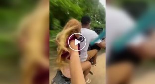 Закономерный финал вилли