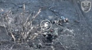 A Ukrainian drone drops ammunition on Russian military personnel near the village of Sinkovka in the Kharkov region