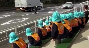 Visual and accessible