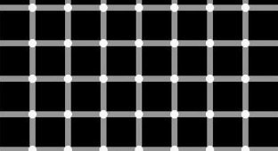 Top - 20 optical illusions (20 photos + text)