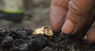 Средневековое золотое кольцо и десятки тысяч реликвий найдены в Швеции (3 фото)