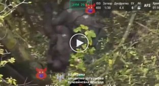 Ukrainian paratroopers showed liquidated Russian marines in Kursk Oblast