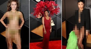 “Dressed like a gardener - scaring away the crows!”: the worst images of stars at the 2024 Grammy Awards (17 photos)